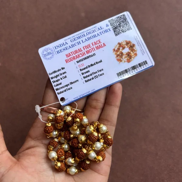 Brown_Rudraksha_Beads_Orignal_Mala_(108_Bead)