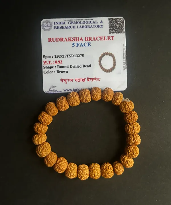 Brown_5_Mukhi_Rudraksha_Beads_Bracelet_(8_Inch_Round)