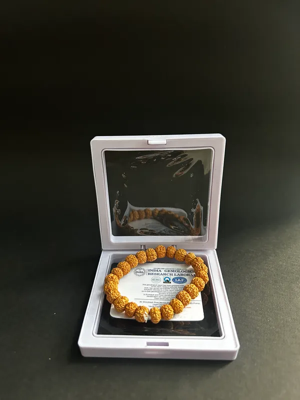 Brown_5_Mukhi_Rudraksha_Beads_Bracelet_(8_Inch_Round)