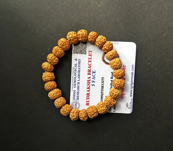Brown_5_Mukhi_Rudraksha_Beads_Bracelet_(8_Inch_Round)