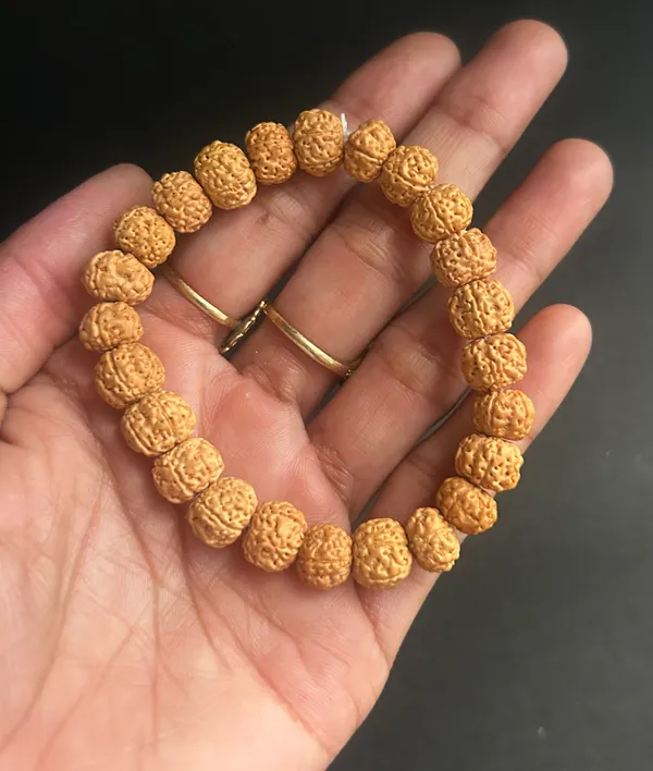 Brown_5_Mukhi_Rudraksha_Beads_Bracelet_(8_Inch_Round)