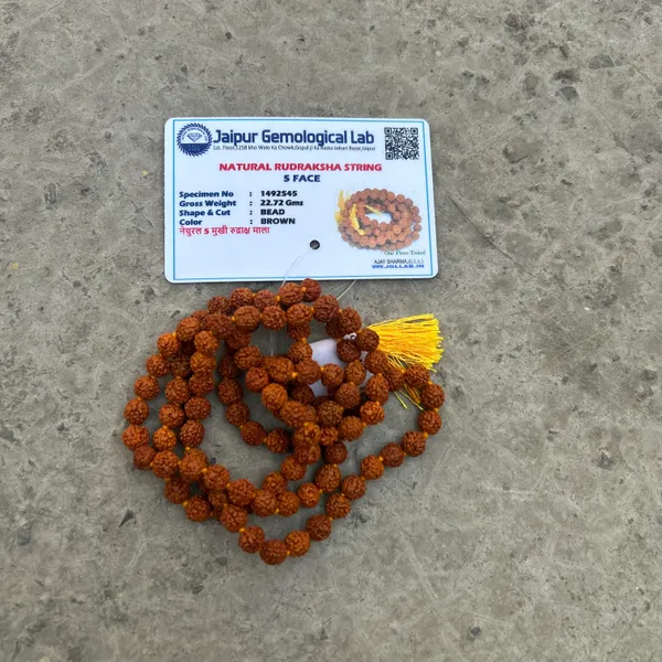 Brown_5_Mukhi_Rudraksha_Beads_Orignal_Mala_(108_Bead)