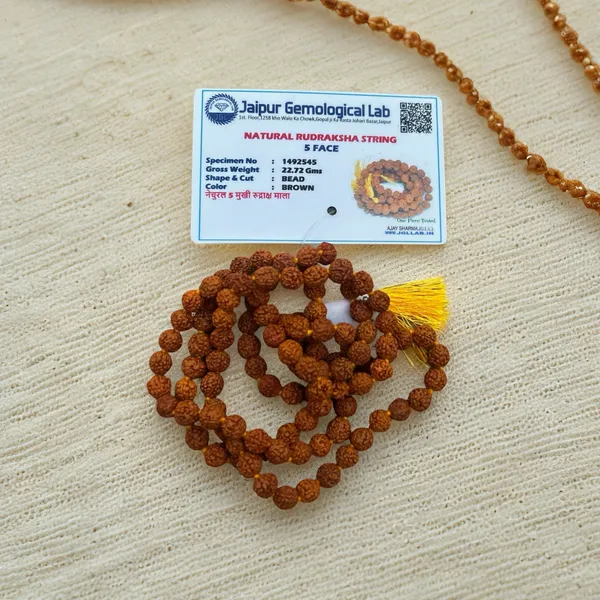 Brown_5_Mukhi_Rudraksha_Beads_Orignal_Mala_(108_Bead)
