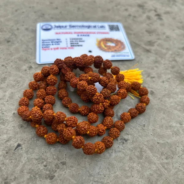 Brown_5_Mukhi_Rudraksha_Beads_Orignal_Mala_(108_Bead)