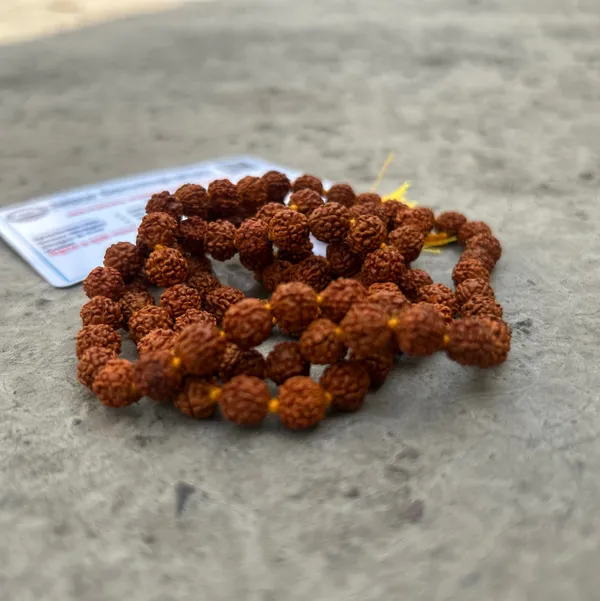 Brown_5_Mukhi_Rudraksha_Beads_Orignal_Mala_(108_Bead)