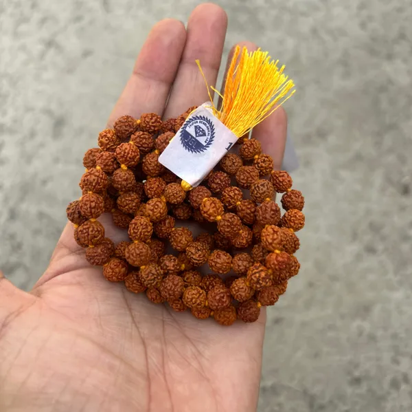 Brown_5_Mukhi_Rudraksha_Beads_Orignal_Mala_(108_Bead)