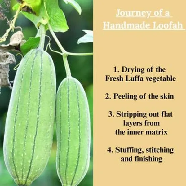 Pack_Of_4_Natural_Loofah_Sponges_(_With_Storage_Bag,_100%_Natural,_Reusable_Bath_And_Body_Scrubbers