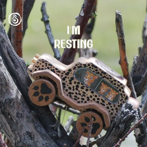 Animal_Car_-_Cheetah
