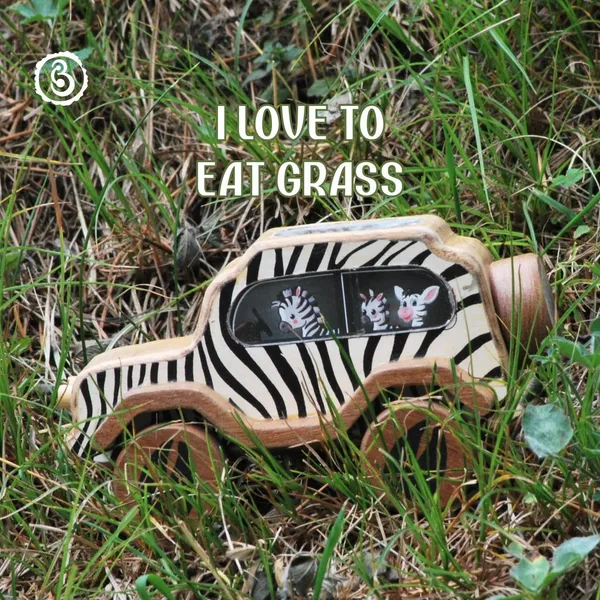 Animal_Car_-_Zebra