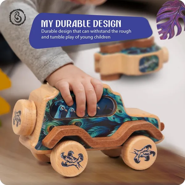 Animal_Car_-_Peacock