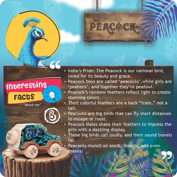 Animal_Car_-_Peacock