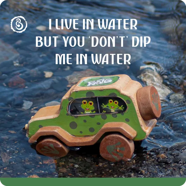Animal_Car_-_Frog