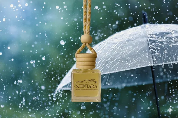 Rain_Mist_Liquid_Car_Freshener/Perfume