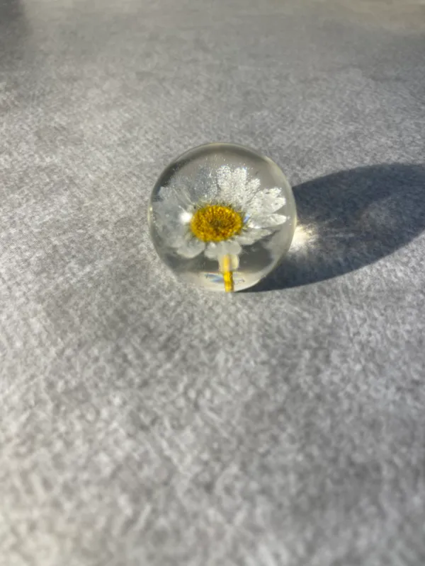 White_Daisy_Paperweight_Small_40_MM
