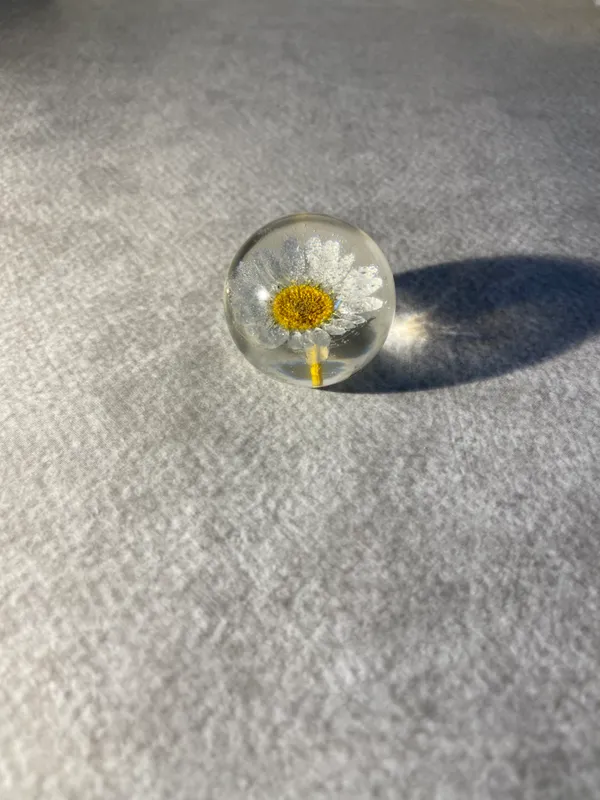 White_Daisy_Paperweight_Small_40_MM