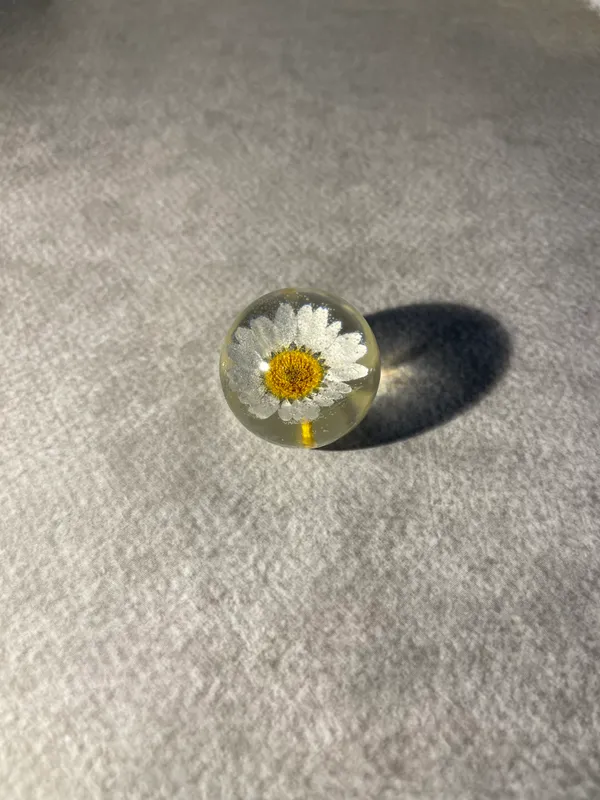 White_Daisy_Paperweight_Small_40_MM