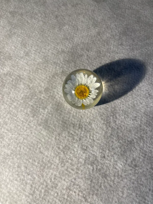 White_Daisy_Paperweight_Small_40_MM