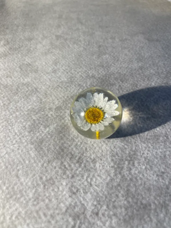 White_Daisy_Paperweight_Small_40_MM