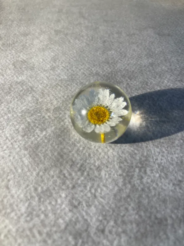 White_Daisy_Paperweight_Small_40_MM