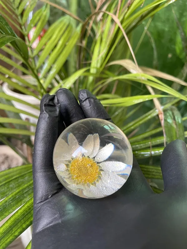 White_Resin_Real_Daisy_Flower_Sphere_Paper_Weight_For_Office_Study_Table_Stylish_Gifting