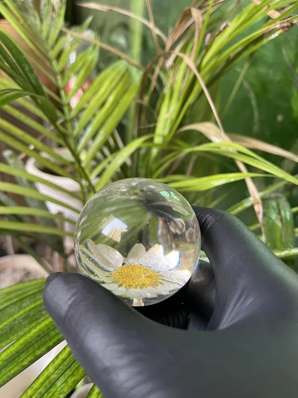 White_Resin_Real_Daisy_Flower_Sphere_Paper_Weight_For_Office_Study_Table_Stylish_Gifting