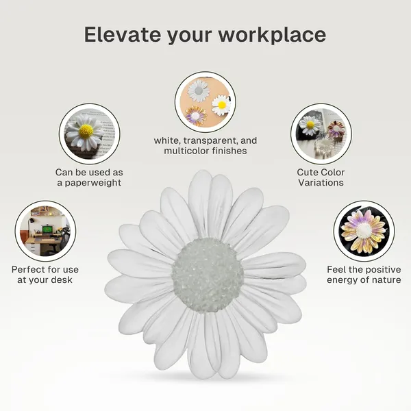 White_&_Golden_Decorative_Flower_Daisy_Resin_Paperweights_(Pack_Of_3)