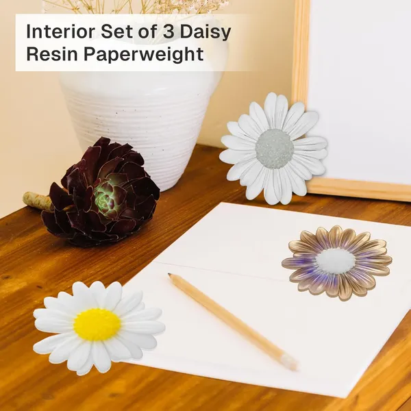White_&_Golden_Decorative_Flower_Daisy_Resin_Paperweights_(Pack_Of_3)