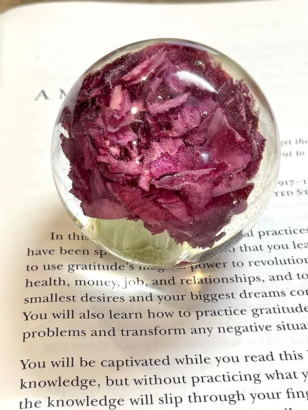 Red_Handmade_Real_Carnation_Resin_Paperweight_Floral_Crystal_Sphere_Desk_Decor