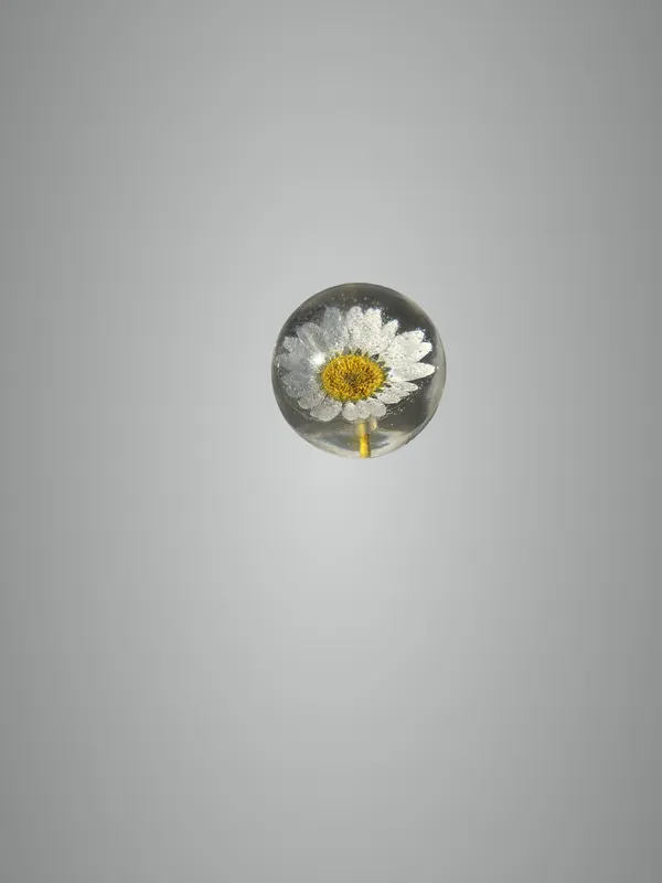 White_Daisy_Paperweight_Small_40_MM