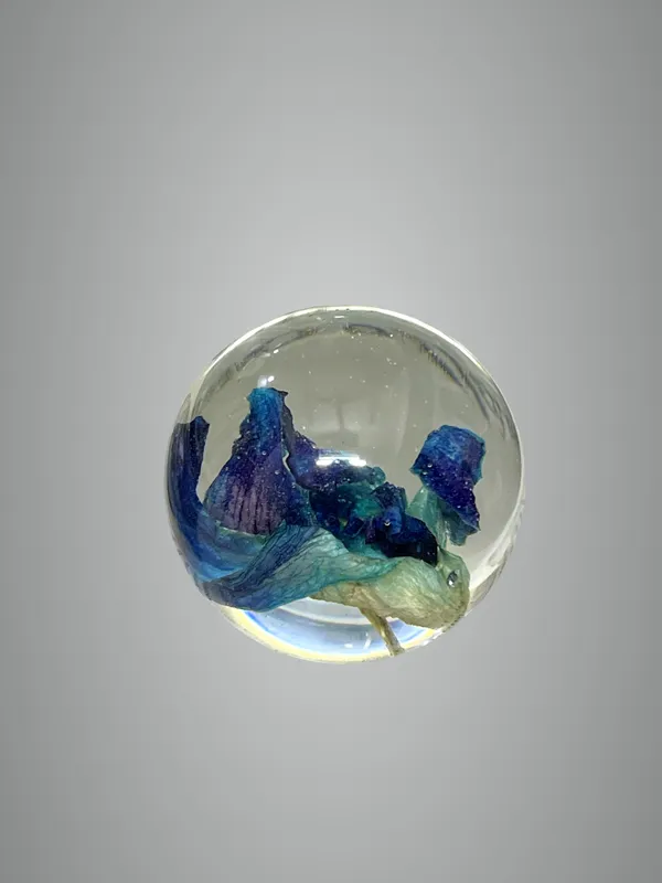 Blue_Premium_Orchid_Paperweight