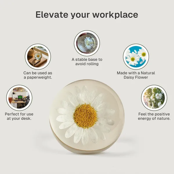 White_Handmade_Resin_Real_Daisy_Flower_Sphere_Paperweight,_Crystal_Ball_Ornament_For_Office