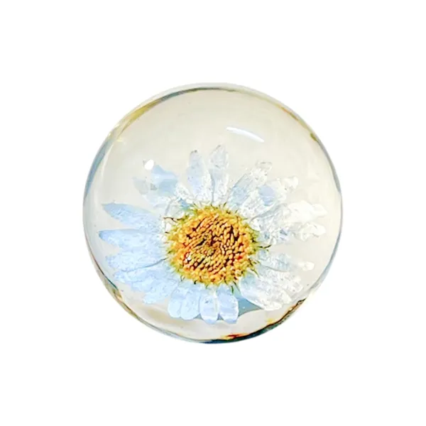 White_Handmade_Resin_Real_Daisy_Flower_Sphere_Paperweight,_Crystal_Ball_Ornament_For_Office