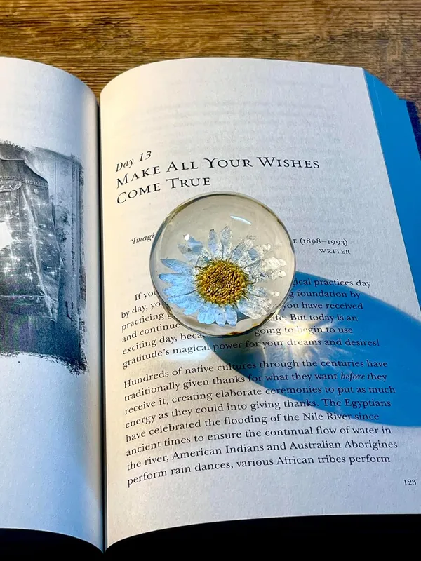 White_Handmade_Resin_Real_Daisy_Flower_Sphere_Paperweight,_Crystal_Ball_Ornament_For_Office