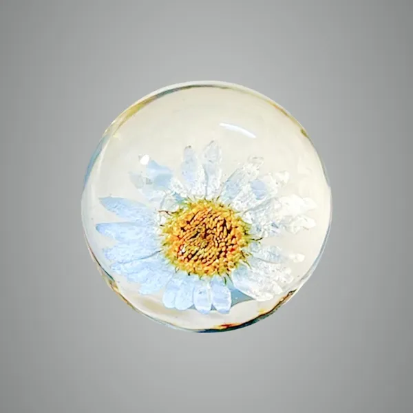 White_Handmade_Resin_Real_Daisy_Flower_Sphere_Paperweight,_Crystal_Ball_Ornament_For_Office
