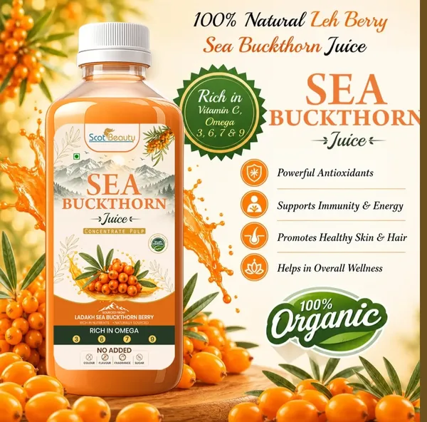Free_1+1_CTHORN_Himalayan_Sea_Buckthorn_Pulp_Concentrate_500ml*2_Bottles|_Cold-Pressed_|_Makes_80_Glasses_|_Natural_Vitamin_C,_Omega_3_6_7_9,_Antioxidants_|_Immunity,_Skin_Glow_&_Gut_Health_Support_|_Juice_Seabuckthorn