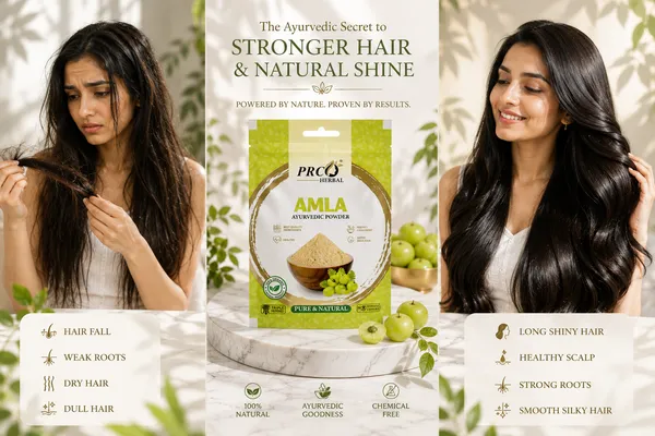 PRC_HERBAL_Amla_Ayurvedic_Powder_|_100%_Pure_Natural_Hair_Growth_&_Skin_Care_Powder_(40GMS)_(PACK-10)