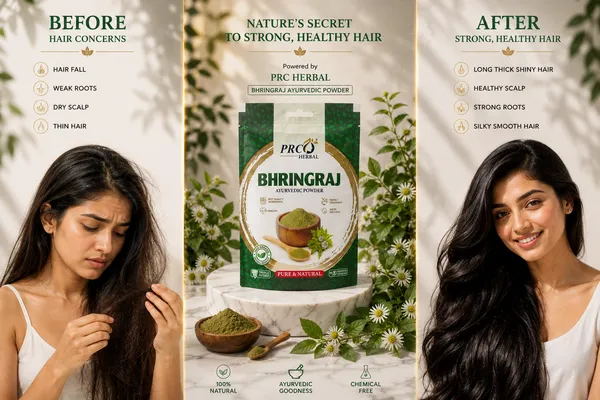 PRC_HERBAL_Bhringraj_Ayurvedic_Powder_|_100%_Pure_Natural_Hair_Growth_&_Scalp_Care_Powder__(40GMS)_(PACK-10)