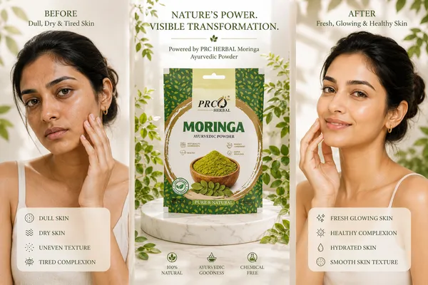 PRC_HERBAL_Moringa_Ayurvedic_Powder_|_100%_Pure_Natural_Moringa_Hair_&_Skin_Care_Powder_(40GMS)_(PACK-10)