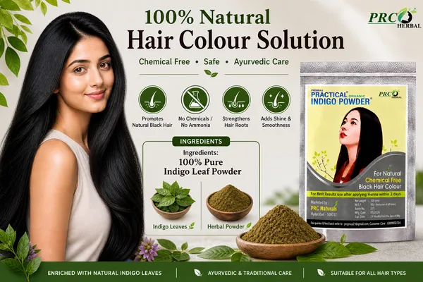 PRC_HERBAL_Practical_Organic_Indigo_Powder_(100g)_PACK_OF_20|_Natural_Black_Hair_Colour_|_Chemical-Free_Hair_Dye_|_Use_After_Henna_for_Best_Results_(2_KG)