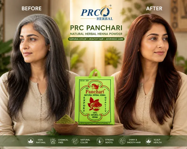 PRC_Panchari_Natural_Henna_Powder_500GMS_(PACK_OF_20)|_100%_Pure_Herbal_Mehndi_for_Hair_|_Chemical-Free_Hair_Color_&_Conditioning