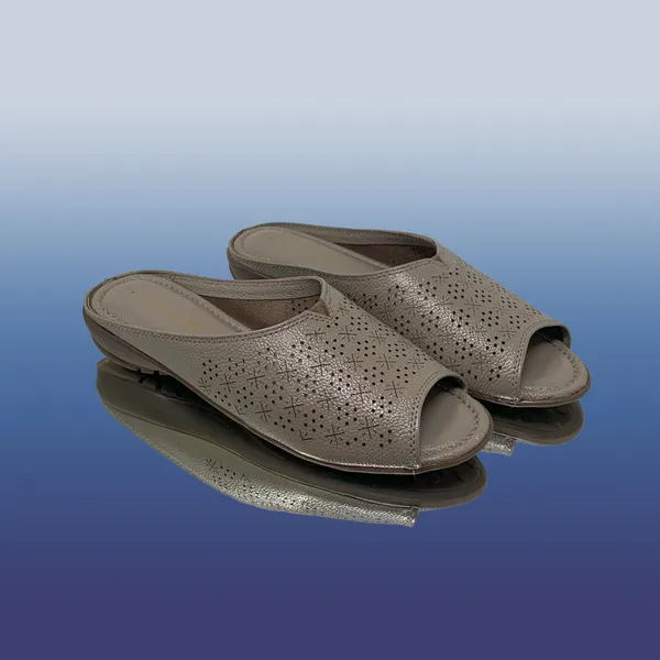 Chiku_Dry-Milled_Leather_Premium_&_Elegant_Flats_For_Women