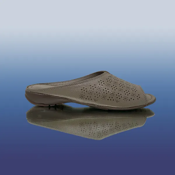 Chiku_Dry-Milled_Leather_Premium_&_Elegant_Flats_For_Women