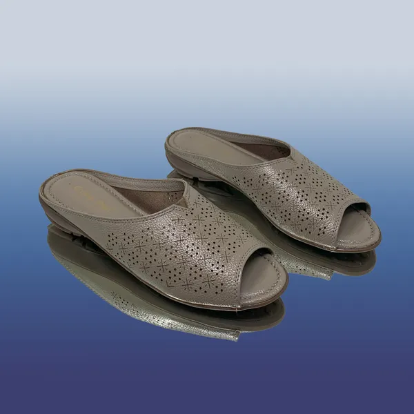 Chiku_Dry-Milled_Leather_Premium_&_Elegant_Flats_For_Women