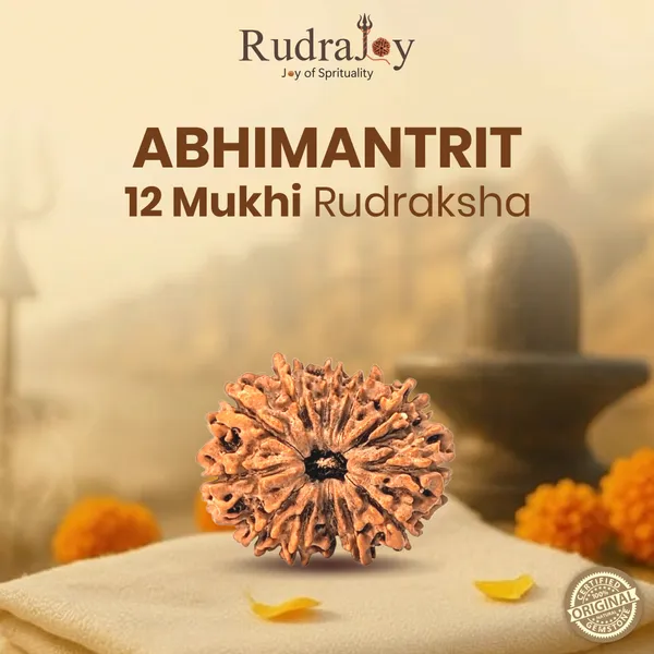 Original_12_Mukhi_Rudraksha_|_Nepali_Abhimantrit