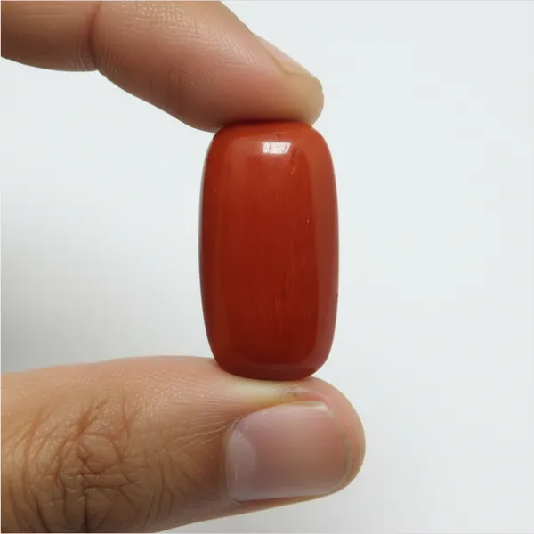 Japanese_Red_Coral_(Moonga)_7.64_Carats
