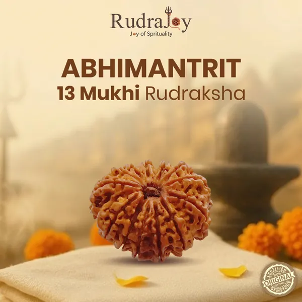 Original_13_Mukhi_Rudraksha_|_Nepali_Abhimantrit