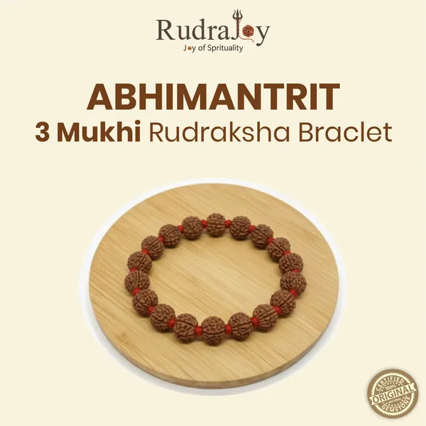 Original_3_Mukhi_Rudraksha_Braclet_|_Abhimantrit