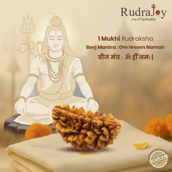Original_1_Mukhi_Rudraksha__|__Nepali_Abhimantrit