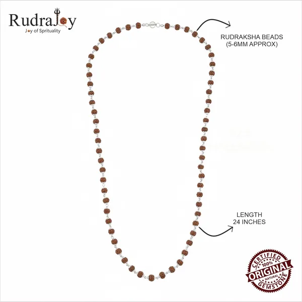 Rudraksha_Silver_Braclet_(8-9_Mm_Rudraksha)