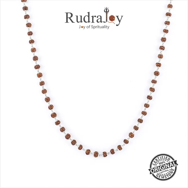 Rudraksha_Silver_Mala_(8-9_Mm_Rudraksha)
